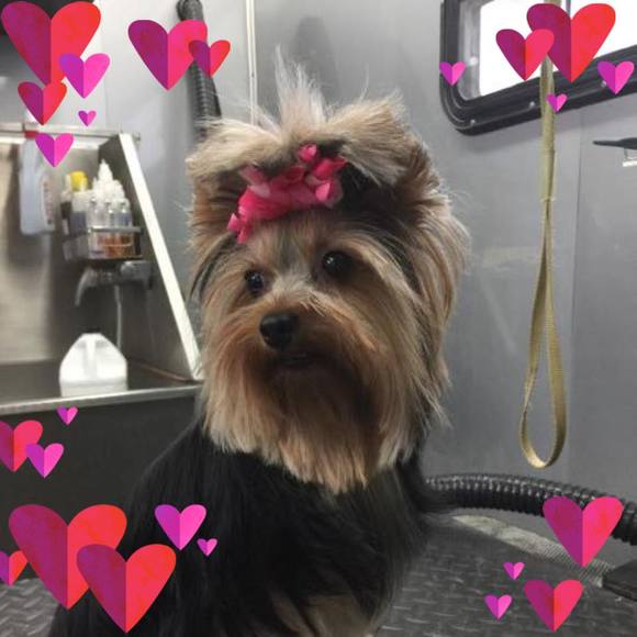 Meet your Posher, Ruth ann - Picture 1 of 1